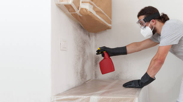 Professional Commercial Mold Remediation technician working in Springfield, MA