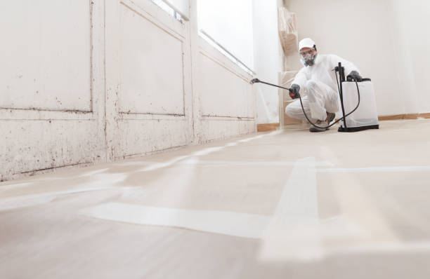 24/7 Emergency Commercial Mold Remediation experts in Springfield, MA