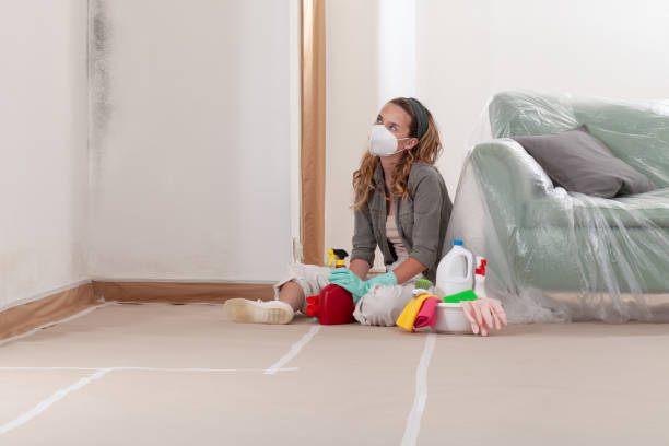 Reliable Commercial Mold Remediation contractor in Springfield, MA by Mold Remediation HQ