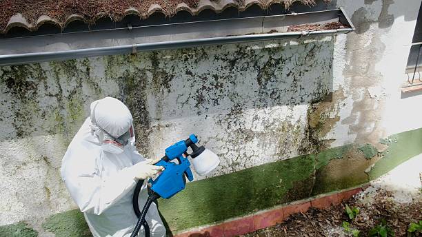 Top rated local Commercial Mold Remediation specialists in Springfield, MA